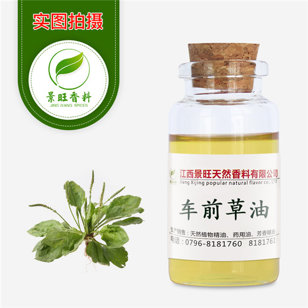 车前草油